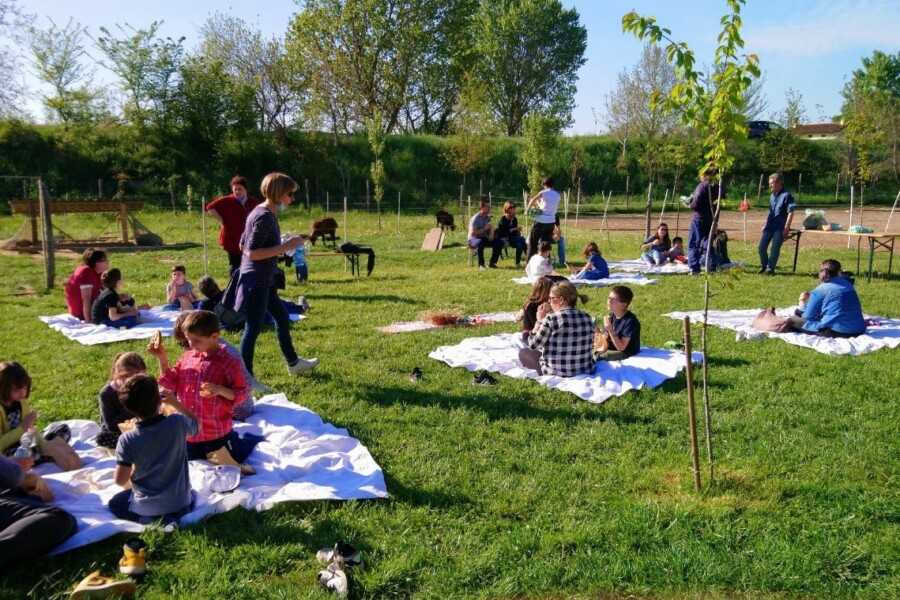 Bambini-prato-laboratorio-fattoria-4-min
