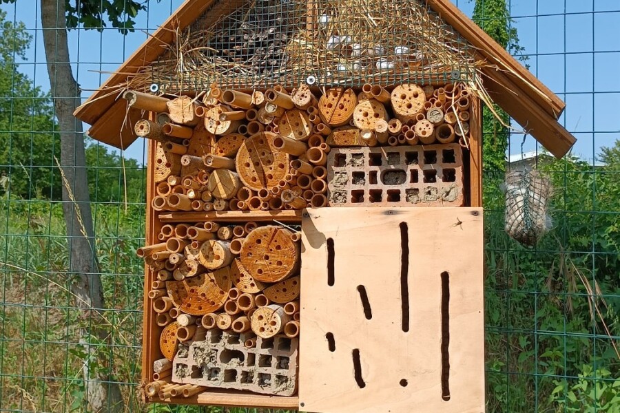 Bee-Hotel-RemOmniA-min