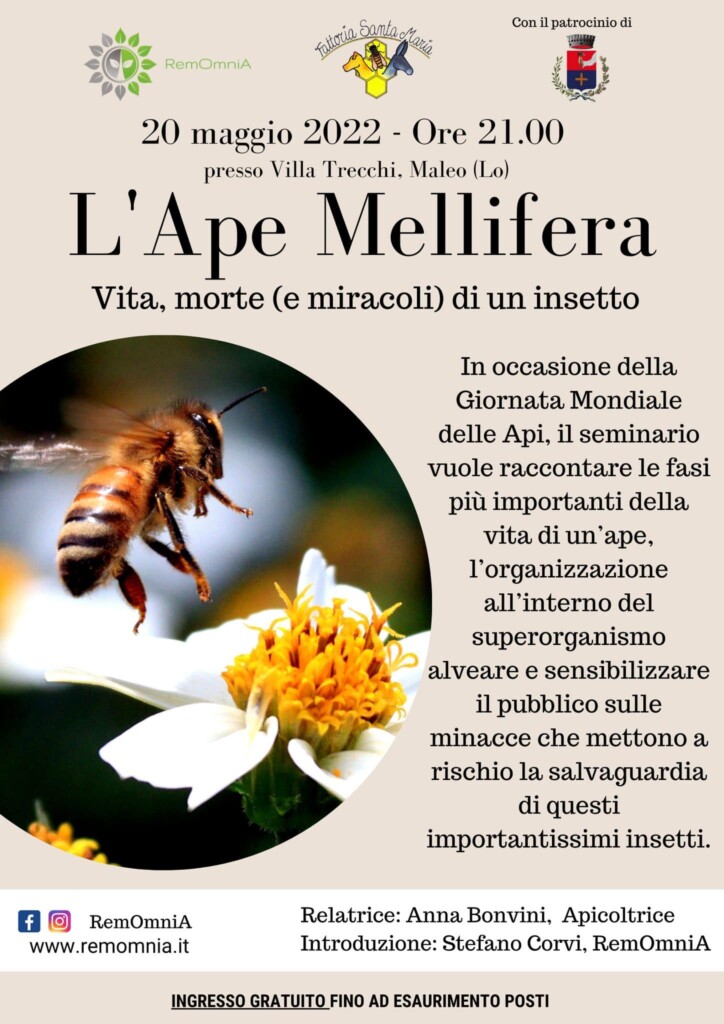 L'APE MELLIFERA