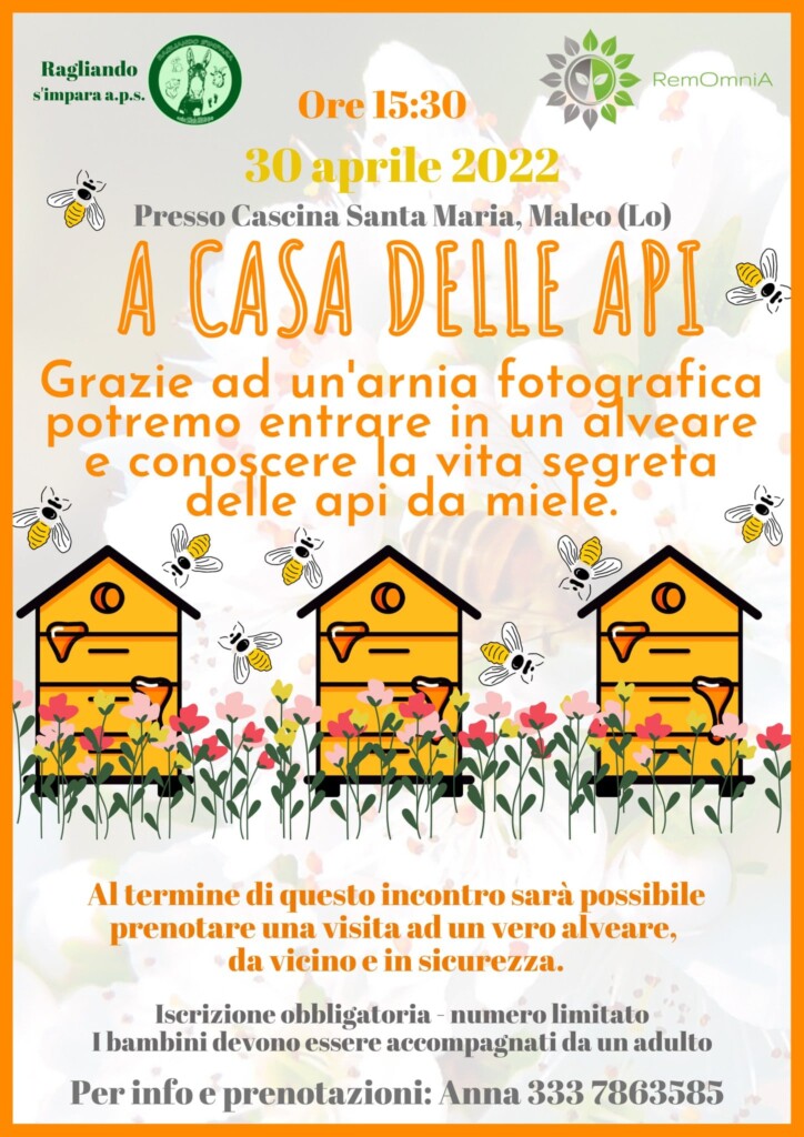A CASA DELLE API