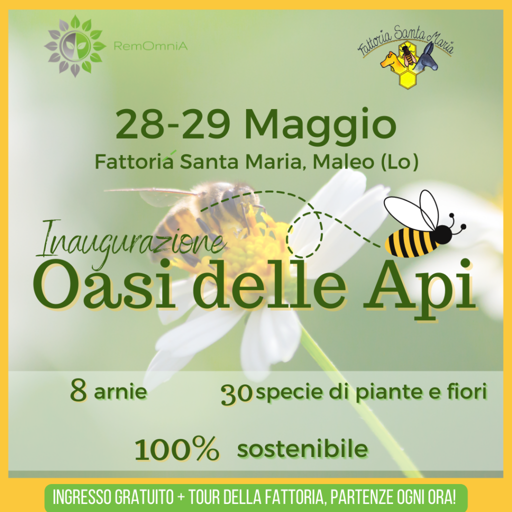 INAUGURAZIONE 